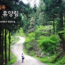 장성공설운동장 11 이미지