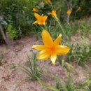 쌩쌩한의원 이미지