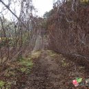 삼도농장 이미지