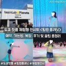 라라플래닛 | 도쿄 오다이바 팀랩플래닛 오픈런 후기 예약 가는법 복장 꿀팁 및 전시 종류 총정리