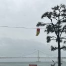 순환로 214번길 | [2박3일 부산여행] 너의 5월은 어떠니 🪷