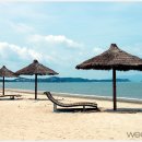 망둥어/짱뚱어 낚시 체험 웨딩21뉴스