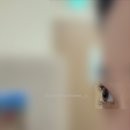 쿠팡 럭스 추천템 MAC 맥 뷰러 자연스러운 속눈썹 후기