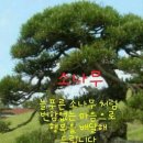 황우 Daum카페