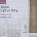 힐링케이션