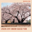 마임 | 2026 벚꽃 개화시기 경주 대릉원 돌담길 축제 기본정보