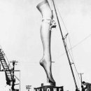 나일론 카카오 검색결과