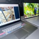 디자인그램 | 맥북보다 가벼운 2025 LG그램! 몇일전에 산 LG그램 솔직 후기