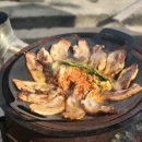 농가소，돼지도매센타