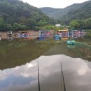 천평낚시터 이미지