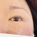 아이라이크커피 - 화성시 동탄하나3길 14 | 강남속눈썹 추천 : 아이라이크 선릉본점 선릉속눈썹펌 만족 후기