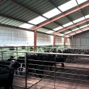 밤재농장 이미지