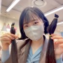 양양군청 이미지