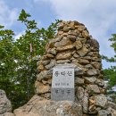 동신코아 앞 이미지