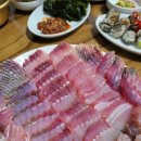 홍어한마리 이미지