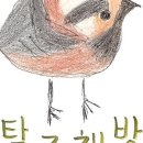 탐조책방 이미지