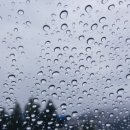 골덴세탁소 이미지