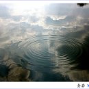 동그라미 이미지