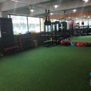 YC바디핏 이미지