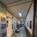강정숙속눈썹 | 부산 좌동 속눈썹 연장 '강정숙속눈썹' 에서 풍성하고 예쁜컬로 연장하고 온 후기!!