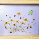 잔누르미 네이버블로그