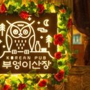 첨단전집 - 36611 | 첨단전집