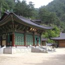 초은고 사거리(초은고) Daum카페