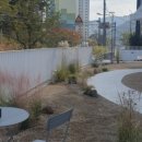 연화카페 이미지