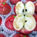 욱이네 농장 이미지