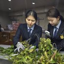 농림축산검역본부 (농림축산검역본부장) 이미지