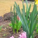 바오밥나무 민박 이미지