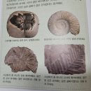 몰드와캐스트 네이버블로그