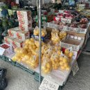 대박청과마트