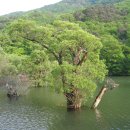 두메산골 이미지