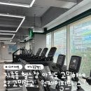 주식회사 원케이피트니스 | 지족동 헬스장 어디로 갈까? 고민 끝! 원케이피트니스에서 시작하세요