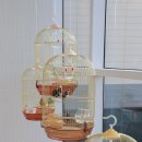 아쿠아카페(AQUA CAFE) | 대구 카페 AQUA VALLEY(아쿠아밸리) 블루 라운지 방문후기