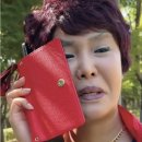 개미부동산중개 이미지