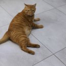 갤러리안경 모라점 이미지