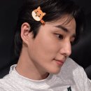 125🍀 이미지