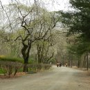 충훈고등학교 이미지