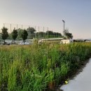 공도 대림동산 축구장 이미지