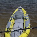 와일드피싱 이미지