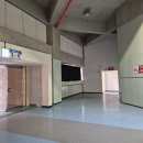 우리 부부의 공식 코스 공개 부산 KCC 농구 관람 + 해울