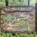 수레의산자연휴양림 이미지