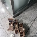 (비젤어린이집)한마음어린이집 | 마지막개강이래요
