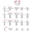 이리온 댕댕 이미지