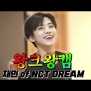 디어꿈체통 왕소중하니까 왕크게 보는 💗왕크왕캠💗 NCT DREAM 나나💚 재민🐰 (Feat. 요정 런쥔🦊) 이미지