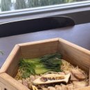 청산1954 이미지