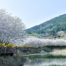 벚꽃마을경로당 이미지