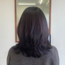 가양로 | 내돈내산 창원 이미지컨설팅 레이어드컷 후기 나담헤어